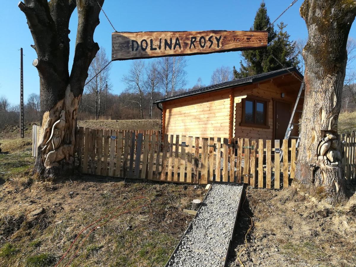 Dolina Rosy Villa Ustrzyki Dolne Ngoại thất bức ảnh