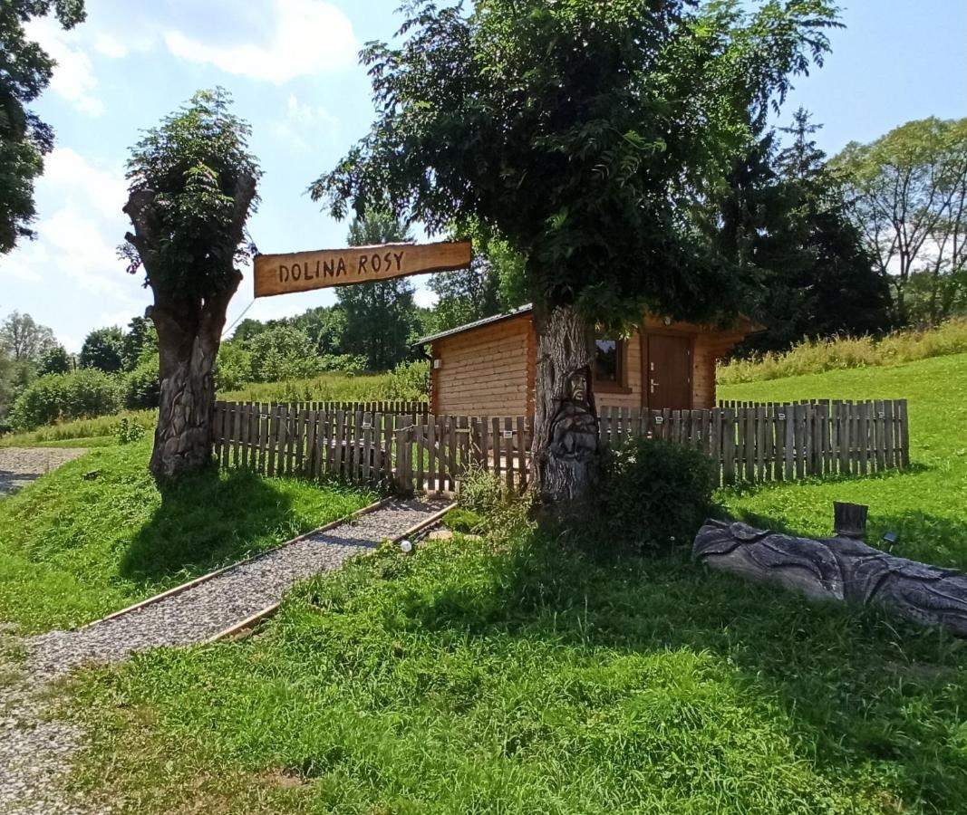 Dolina Rosy Villa Ustrzyki Dolne Ngoại thất bức ảnh