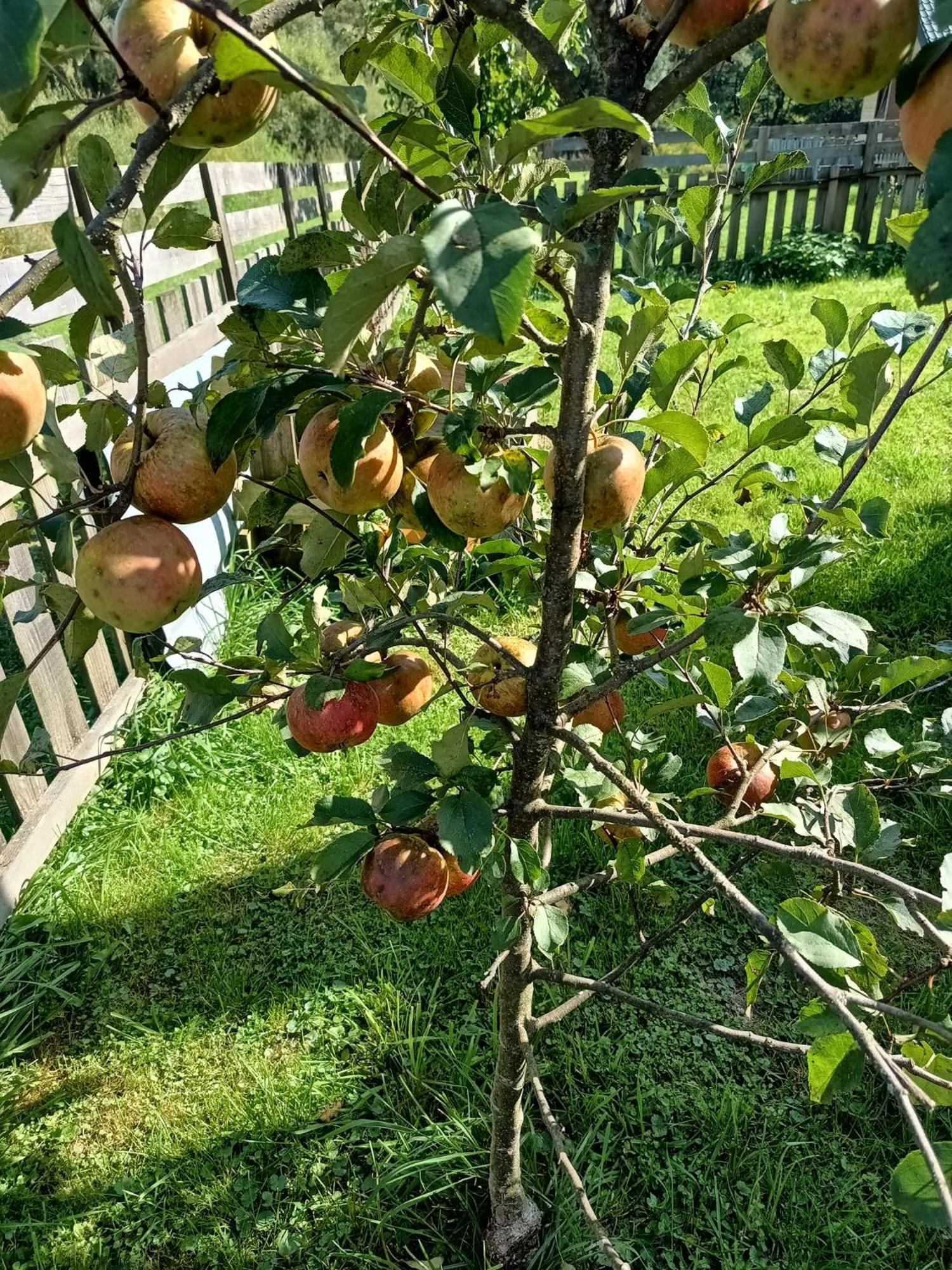 Dolina Rosy Villa Ustrzyki Dolne Ngoại thất bức ảnh